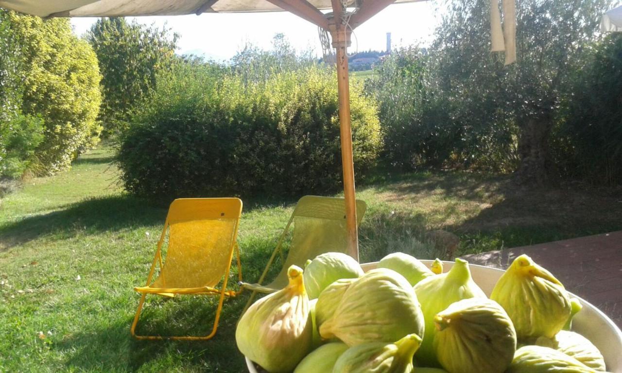 Monte Maino Bed & Breakfast Desenzano del Garda Exteriér fotografie